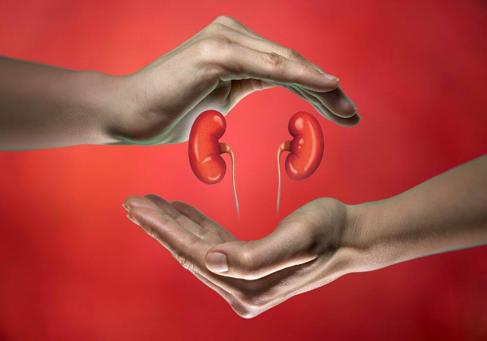 Kidney Treatment Hospital in Nagercoil